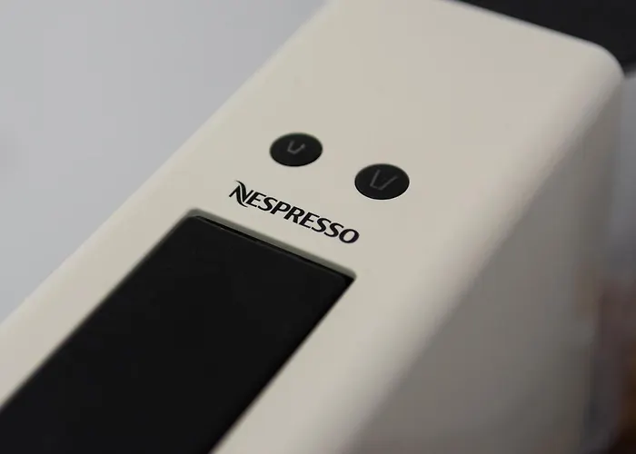 Olive Studios Guest house