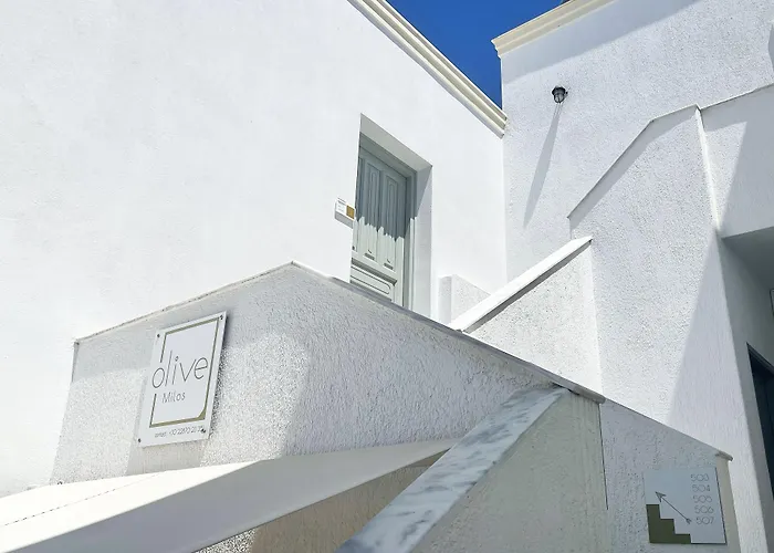 Guest house Olive Studios 3*